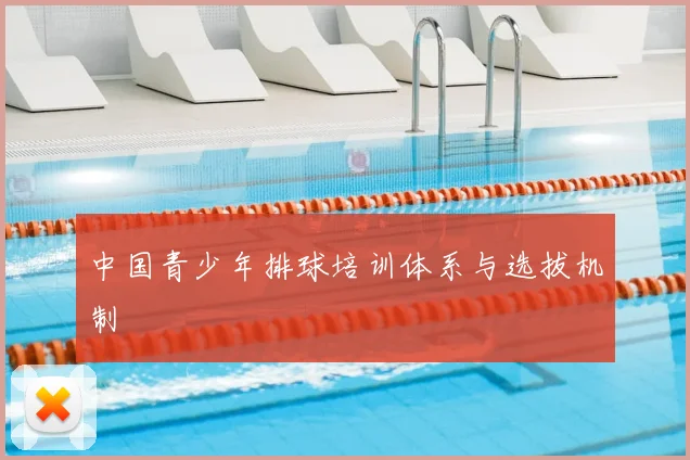 中国青少年排球培训体系与选拔机制