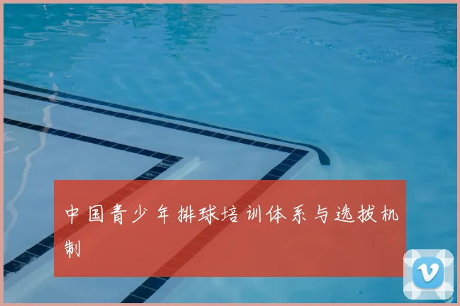 中国青少年排球培训体系与选拔机制